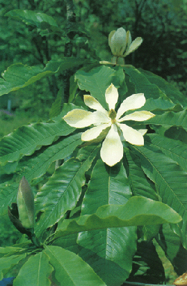 ������//