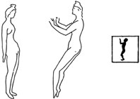 �ŷ�֮һ--����(��ͼ)//