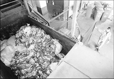 ���������в�����Ⱦ�й�12��Խ��������//