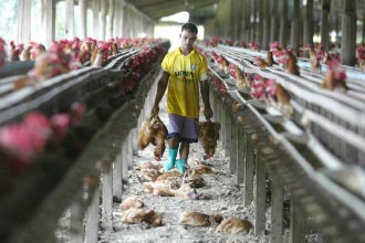 �պ�Խ��̱����������ҹ������Ϸ���ʩ//