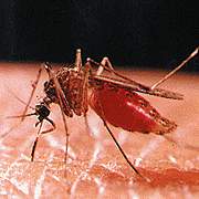 ������ѧ���о������﹤�̸�������&nbsp;//