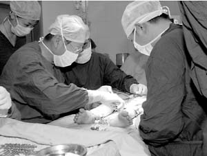 ����Ů�����������ɹ�(��ͼ)//