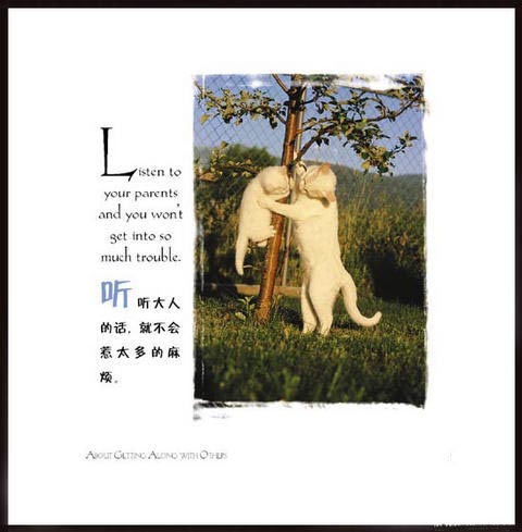 
[ͼ��]���������ʮ��̬��
//