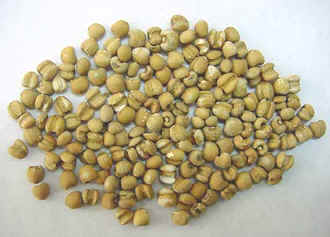 ޲��/�����ԡ�/����ζ��/�����á�/�����Ρ�/