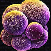 �ҹ������ֹ��¡�˺�����������̥//