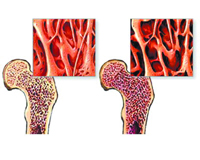 ����ר�Һ���Ӧ��ǿ����������ϵ���������//