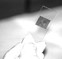 DNAоƬ�����ڽ�ֱ�����о��е�Ӧ��//