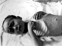 Ӫ���������½��������ҹ�ũ��5���������ع����ͯ����//