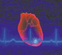 ά����D�Թ��Ĳ���Ԥ������//