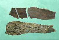 ����ͼ��//