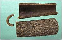 ����ͼ��//