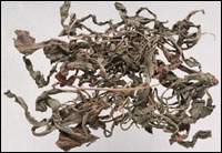 �ѹ�Ӣͼ��//