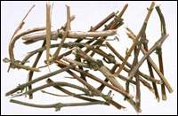 �̶���ͼ��//