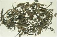 ����Ҷͼ��//