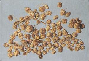 Ұ�ջ�ͼ��//