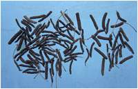 ����ͼ��//