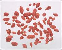 �����ͼ��//