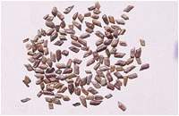 ������ͼ��//