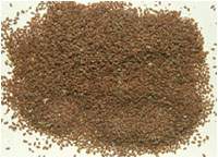 ������ͼ��//