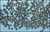 ������ͼ��//