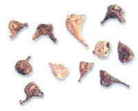 ɽ�ȹ�ͼ��//