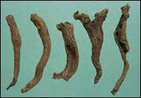 ����ͼ��//