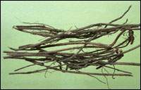 ��ݸ�ͼ��//