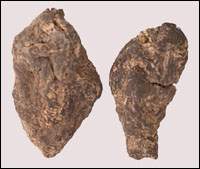 ��ػ�ͼ��//