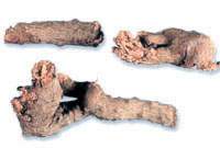 ����ͼ��//