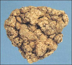 �Ϻӳ�ͼ��//