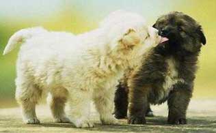 ������ʧ�ܵ�ʮ�����ͼ//