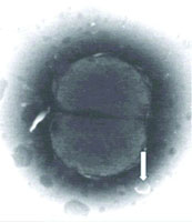 ����������1��//