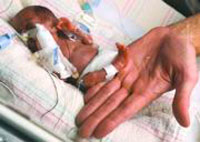 ������СӤ�����������ز���250��//