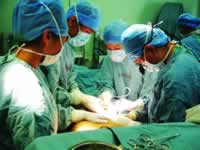 �����������ҽʦ������