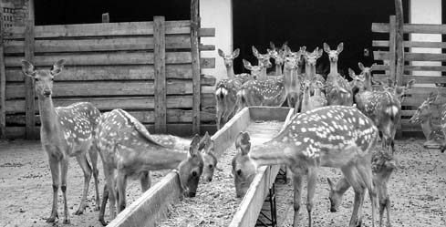 G������װ������                      