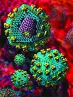 ������ŵ��Ԥ�����̲���Ҫ��ػ����Ը�Ⱦ����ָ��