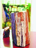 ���ڻ�����Ⱦ���� ������Ǽ��в�Ʒ �ղز������ܺ�(��ͼƬ1��)