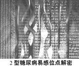 �ҹ���������ȡ���½�չ