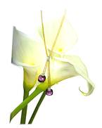 �����뾫��ԡ������Լ��(��ͼƬ1��)