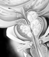 ����ǰ��������MTOPS�о�����ʾ����������