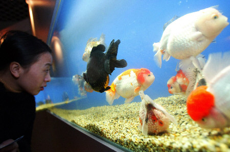 �л�������̬�����ῪĻ//