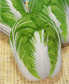 
[��ʳ]��˵���ٲ˲���ײˡ�
//