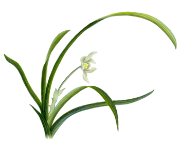 
���б���ϳɸ�����ҽԺ���������϶�û��
//