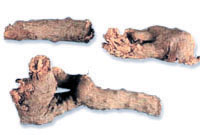 ����ͼ��-����������//