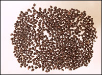 ǣţ��ͼ��-��ʵ������//