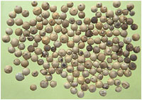 ����ͼ��-��ʵ������//