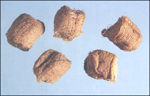 ɣ���ͼ��---������//