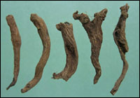 ����ͼ��-����������//