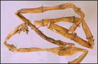 «��ͼ��-����������//