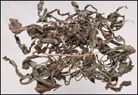 �ѹ�Ӣͼ��---ȫ����//